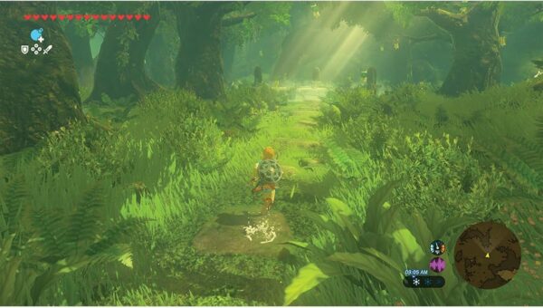 The Legend of Zelda Breath of the Wild – Nintendo Switch 2 Edition - Imagem 2